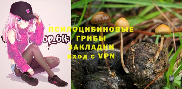 PSILOCYBIN Баксан