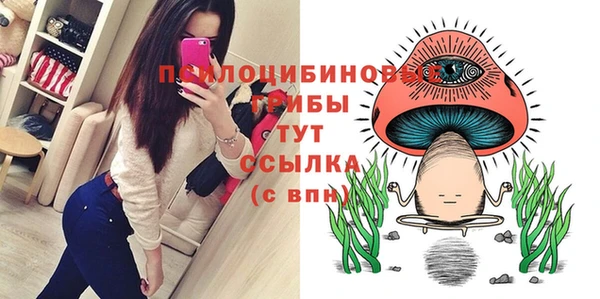 PSILOCYBIN Баксан