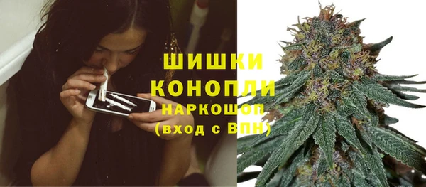 ПСИЛОЦИБИНОВЫЕ ГРИБЫ Балахна