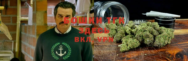 ПСИЛОЦИБИНОВЫЕ ГРИБЫ Балахна